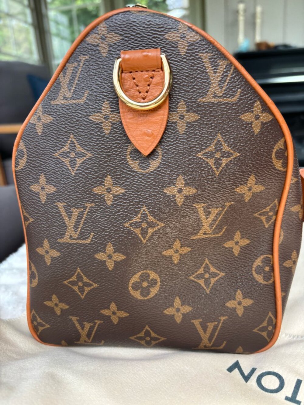LV Soft Speedy 30 Boho - Picture 4 of 7